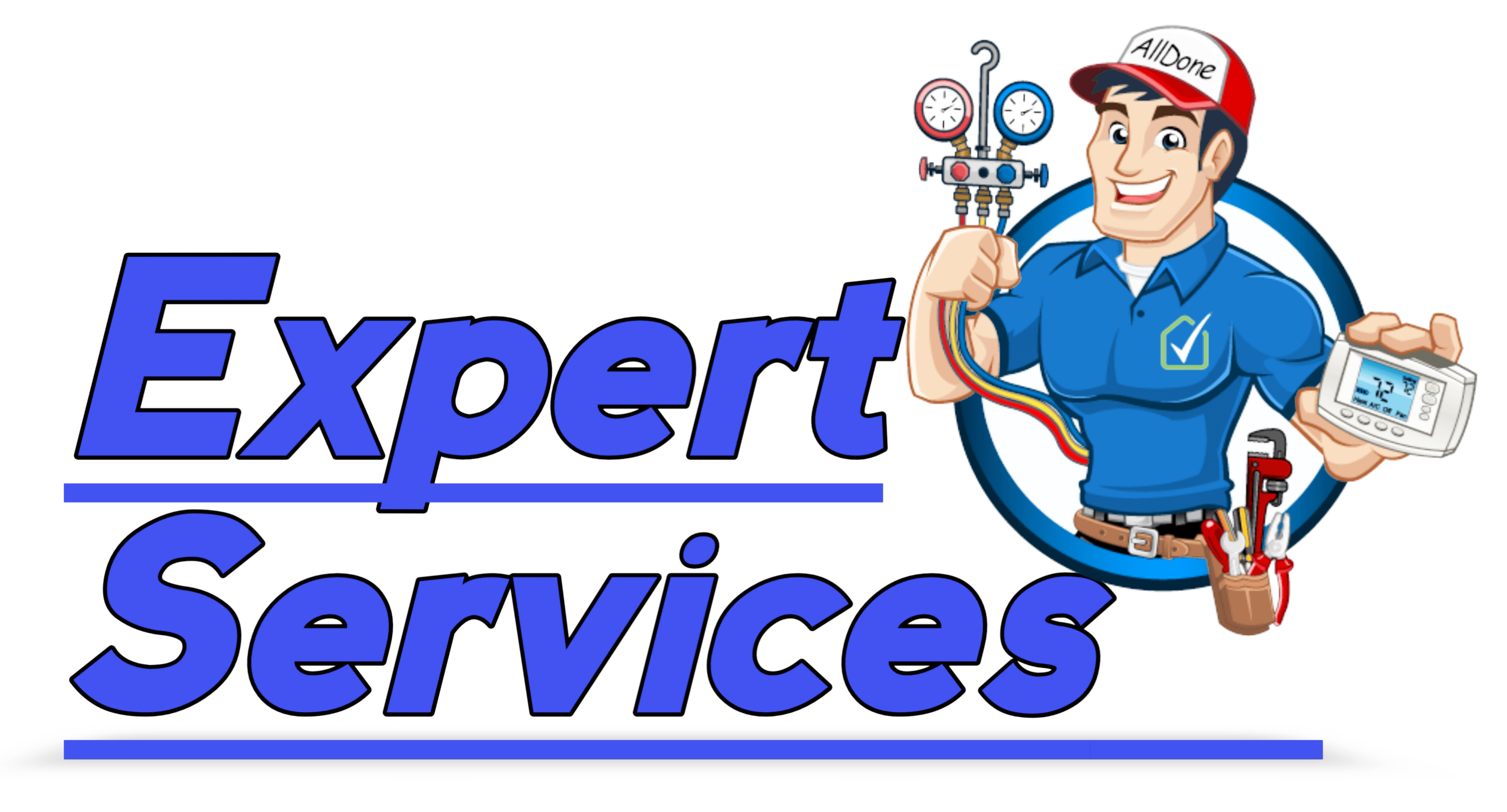 Expert Services